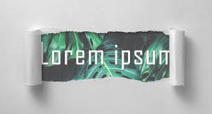 LoremIpsum2